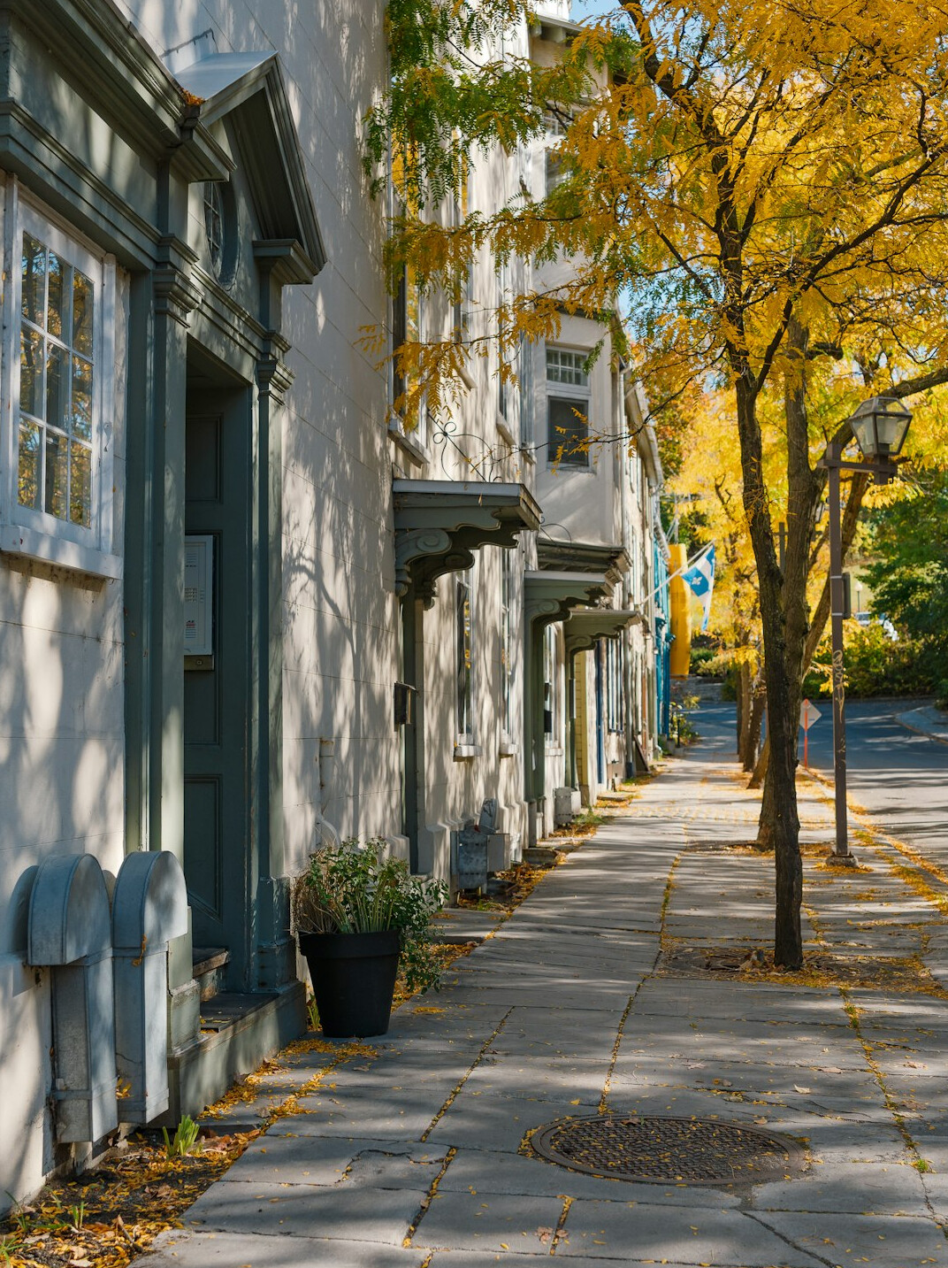 Colorful heritage rowhouses on a tree lined Canadian street in autumn